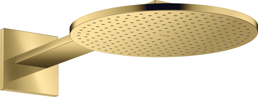 Купить купить верхний душ axor showersolutions 300 2jet, с держателем, полированное золото арт. 35303990