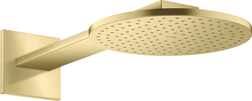 Купить купить верхний душ axor showersolutions 250 2jet, с держателем, матовая латунь арт. 35296950