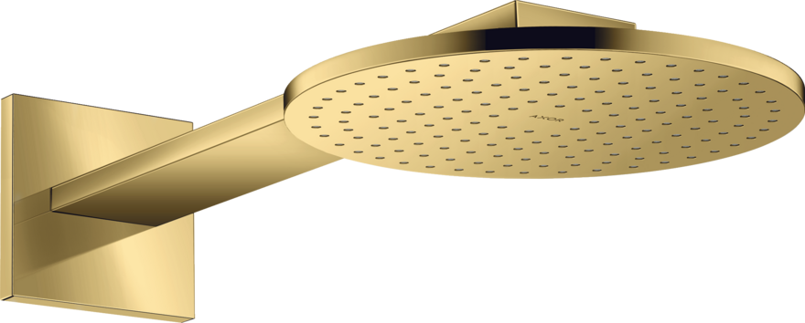 Купить купить верхний душ axor showersolutions 250 2jet, с держателем, полированное золото арт. 35296990